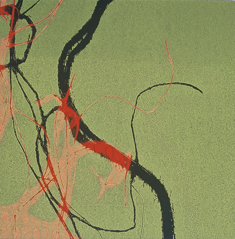 Detail of Branched and Rooted Monoprint Installation #2